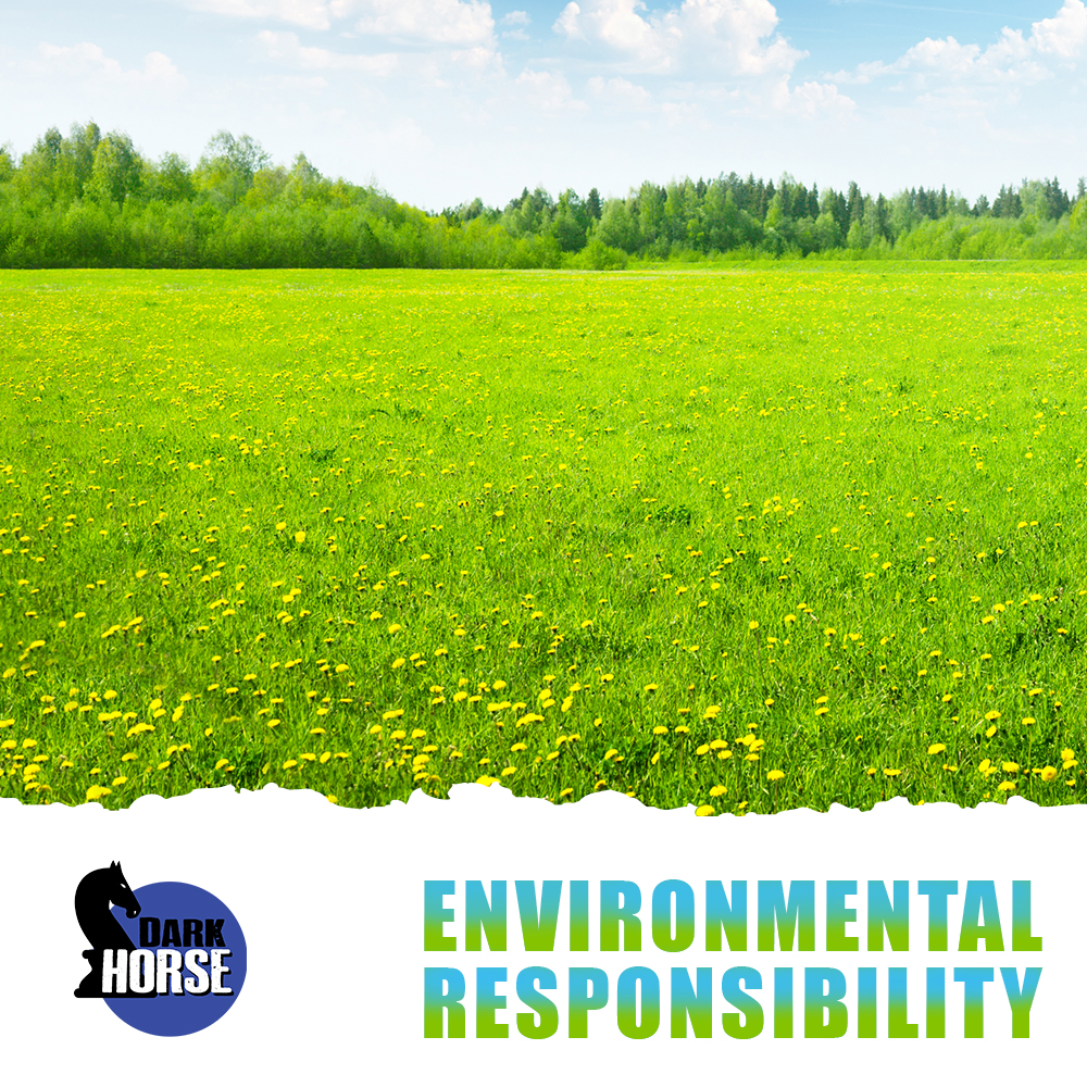 Environmental Responsibility