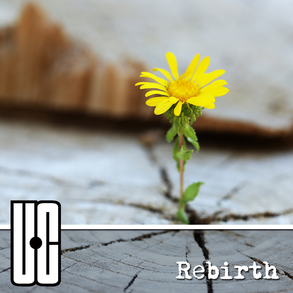 Rebirth