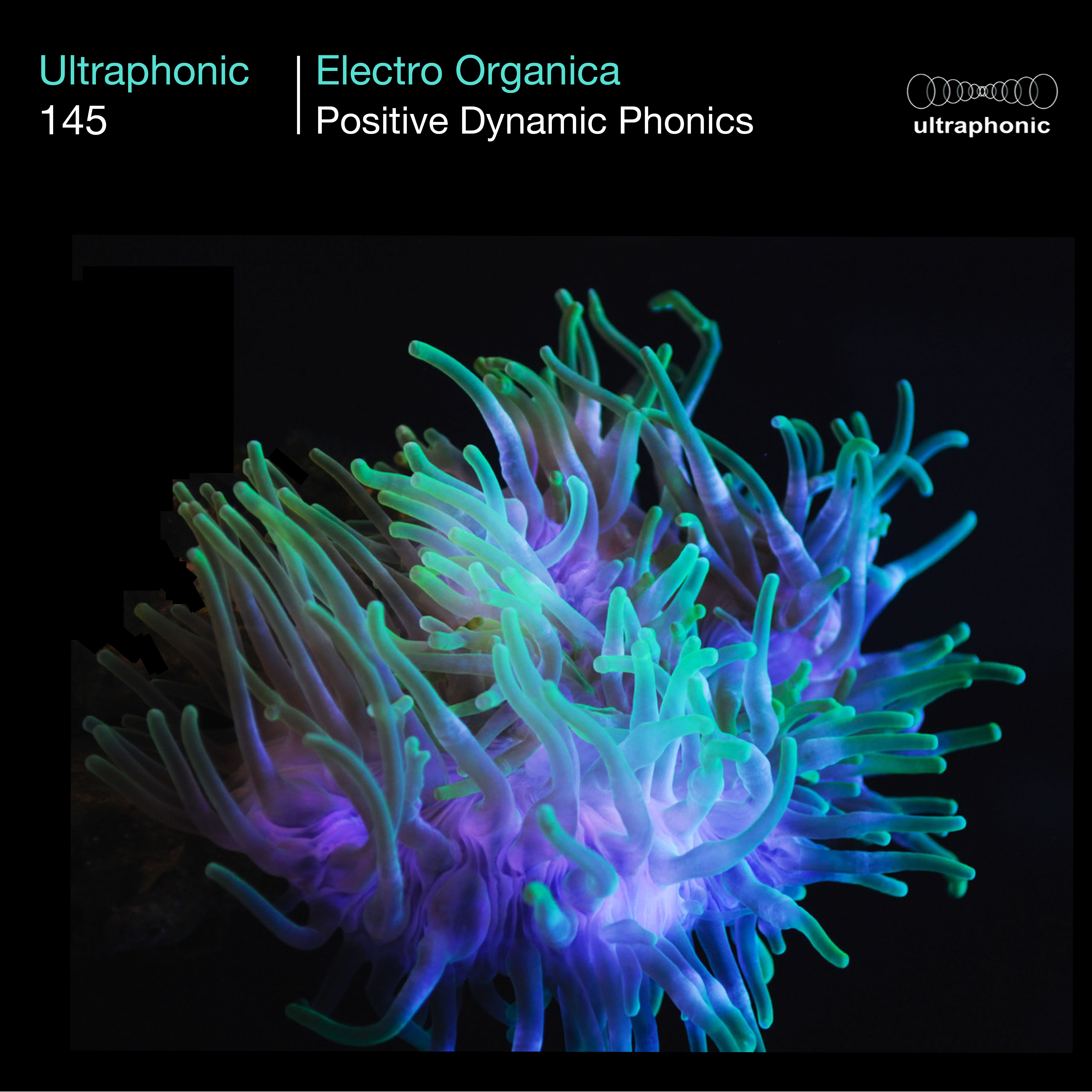 Electro Organica