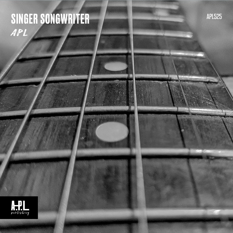 Singer Songwriter