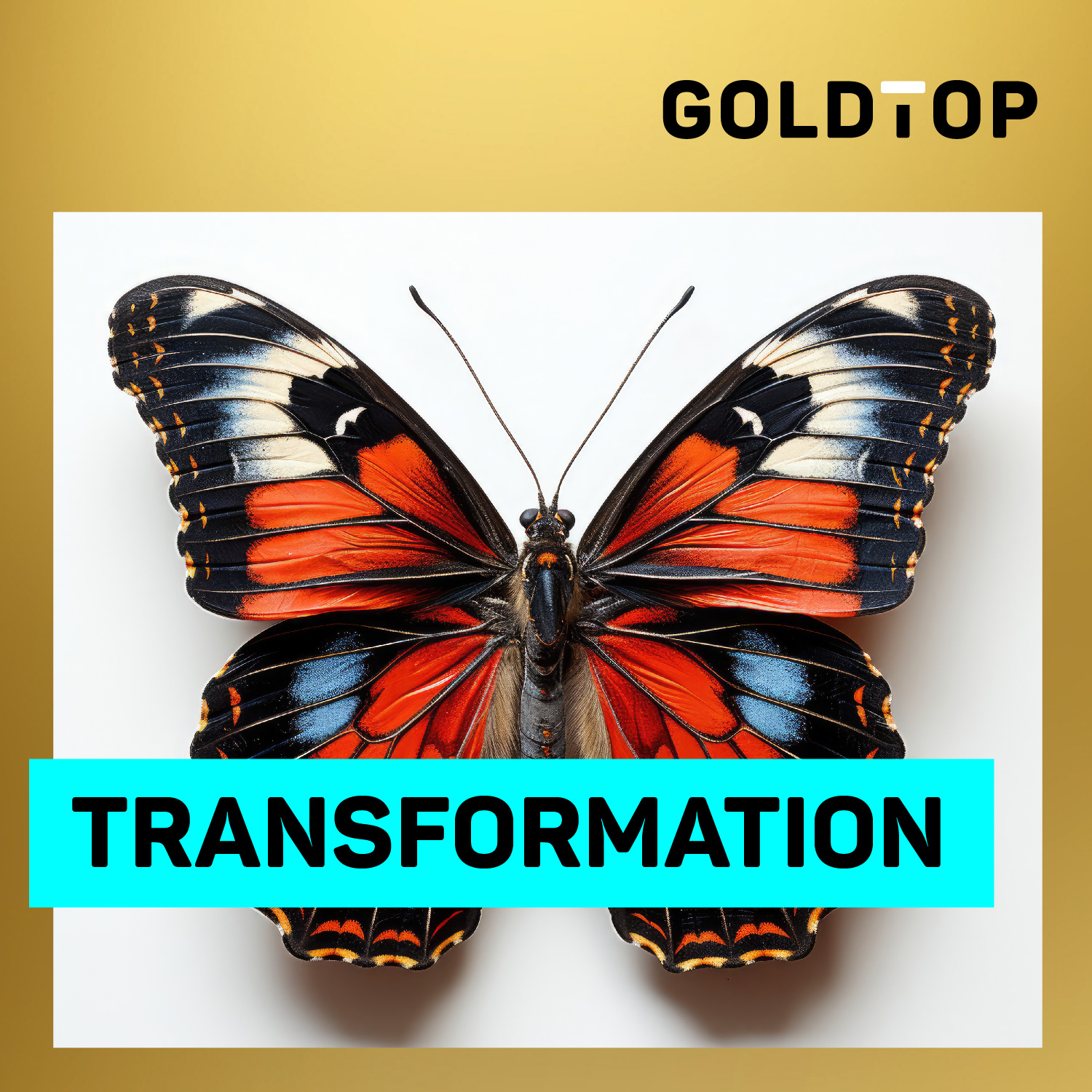 Transformation