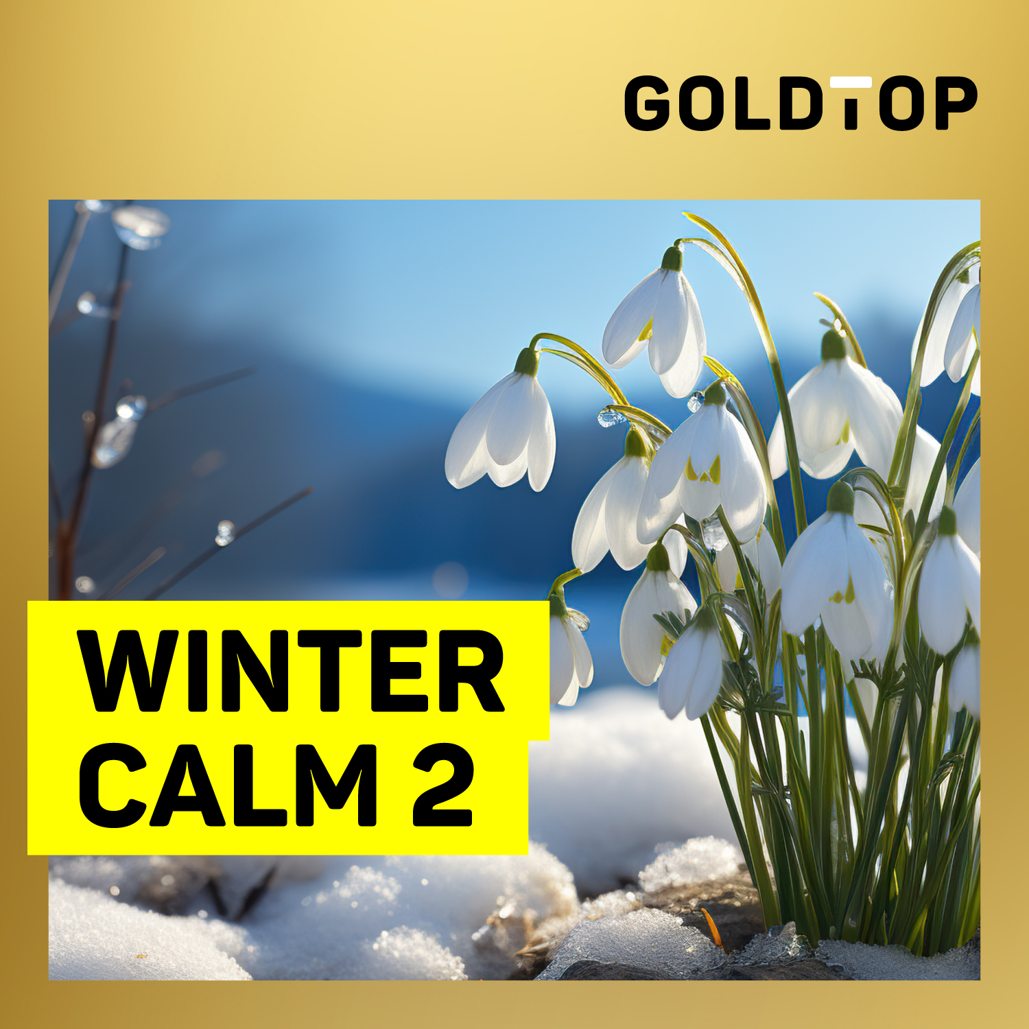 Winter Calm 2