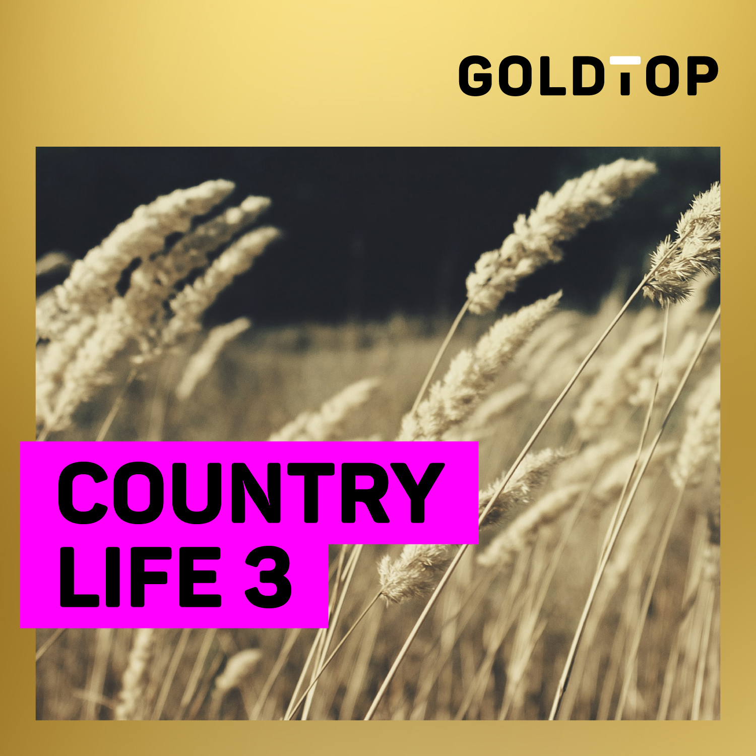 Country Life 3