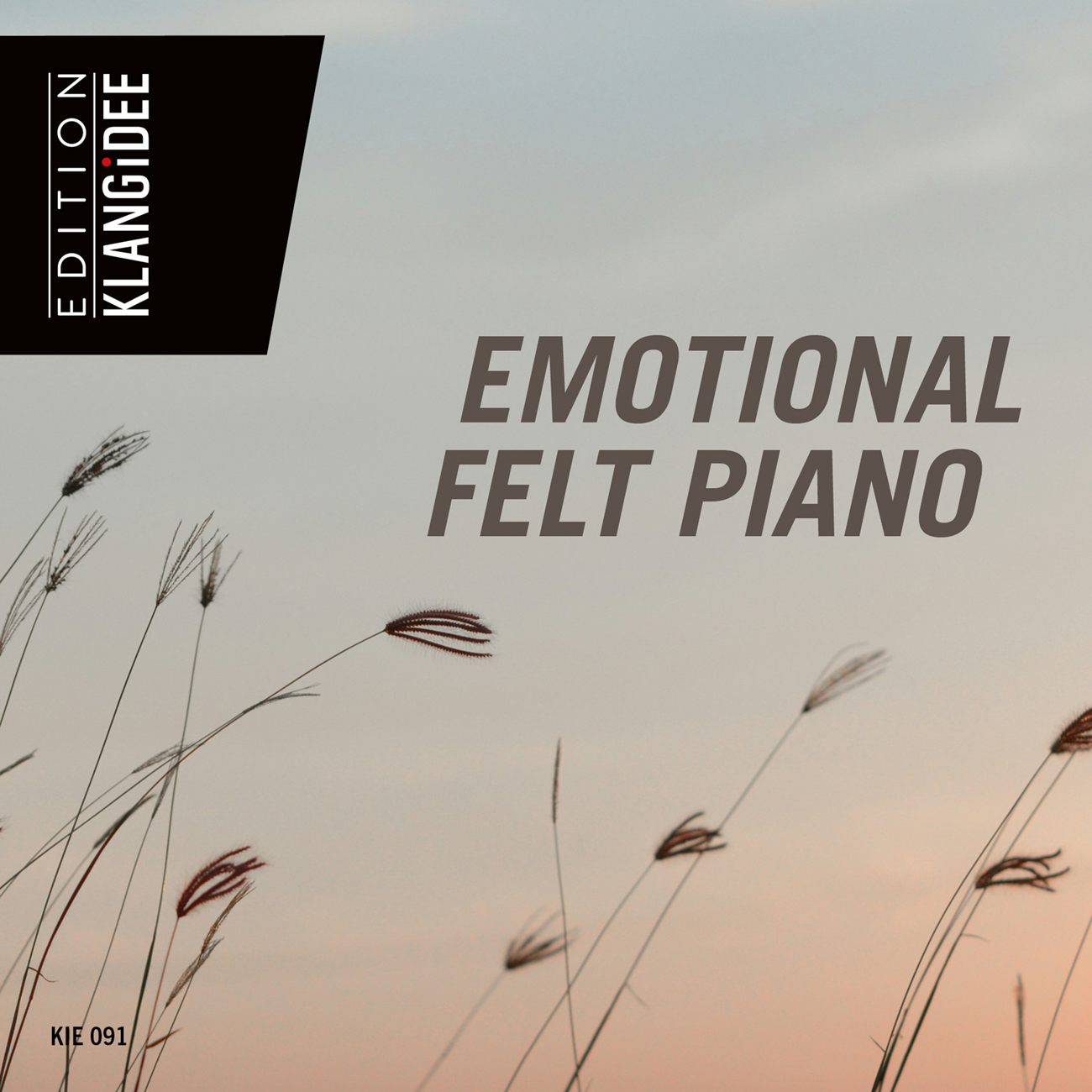 Emotional Felt Piano