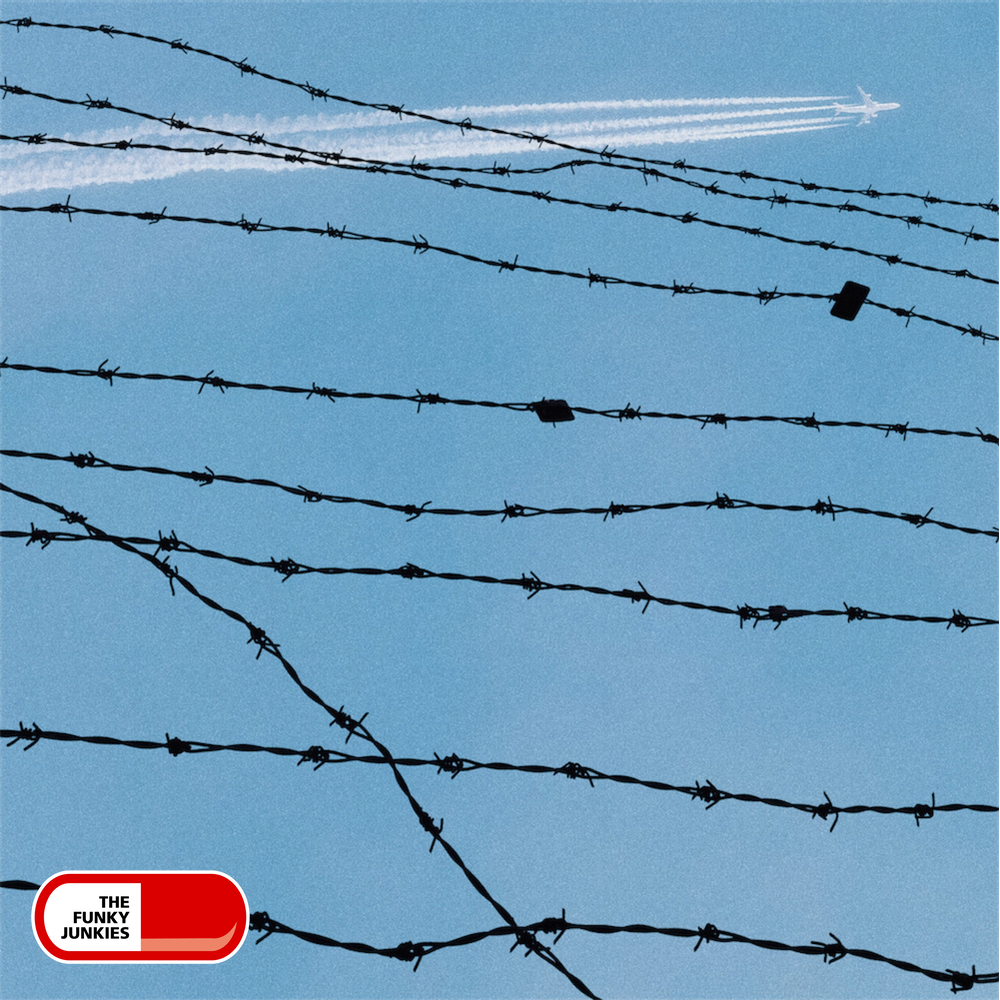 Beautifully Devastating Wartorn Cues