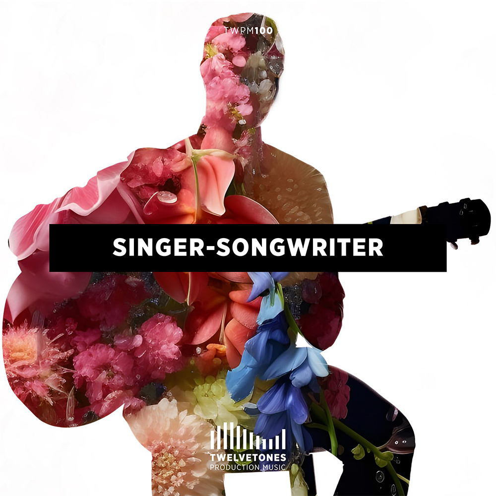 Singer - Songwriter